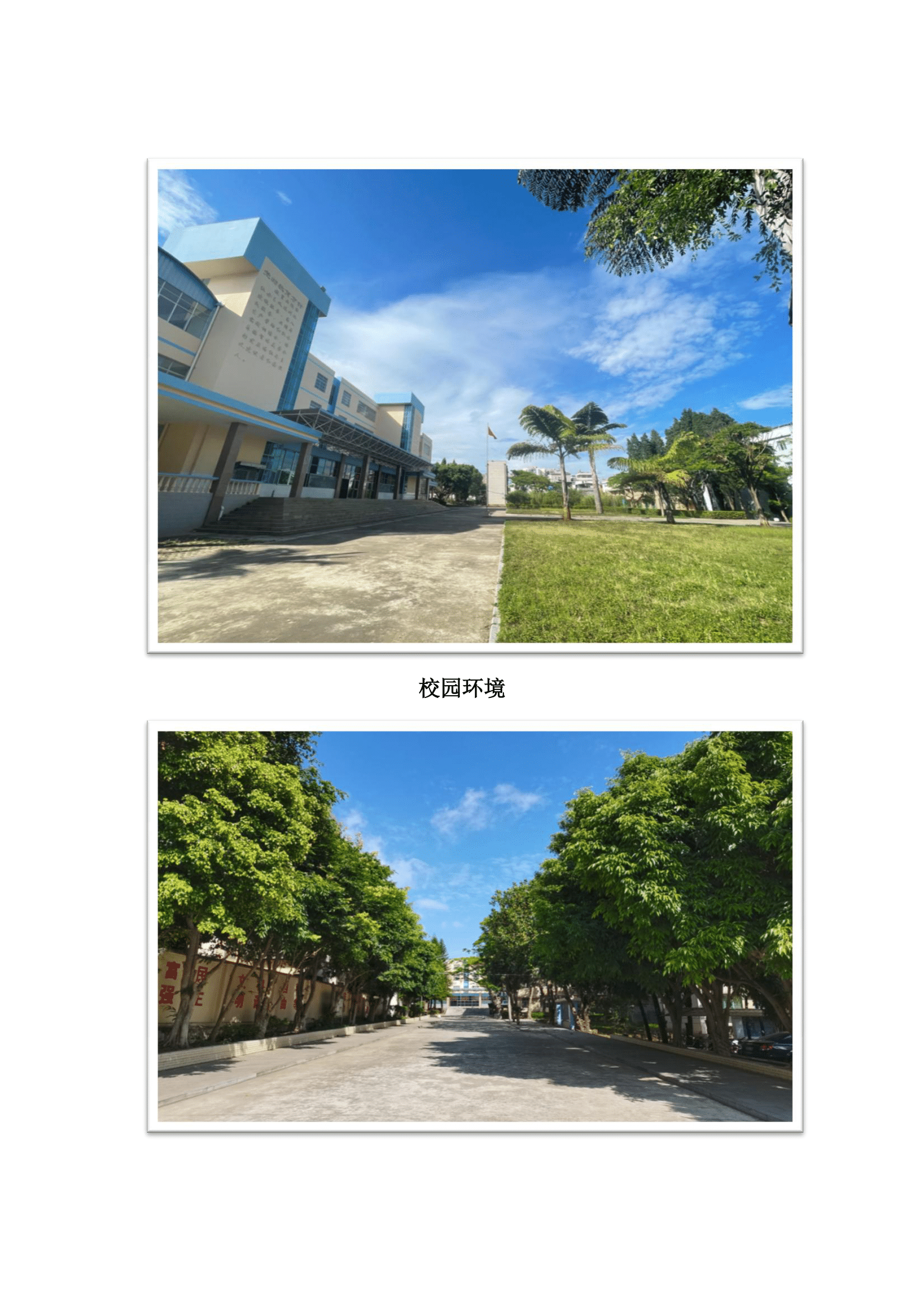 云南紅河發(fā)展集團實習(xí)項目(2)-5.png
